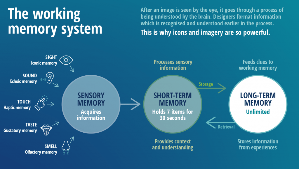 Память инфографика. Memory infographic. Short-term and long-term Memory infographics. Этапы производства инфографика.